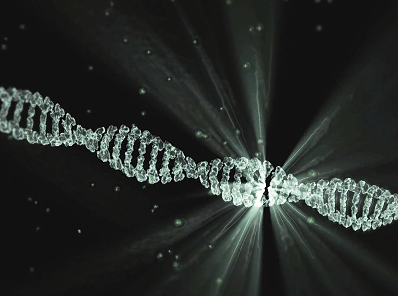 The Fight for Exoneration (image credits: pixabay)