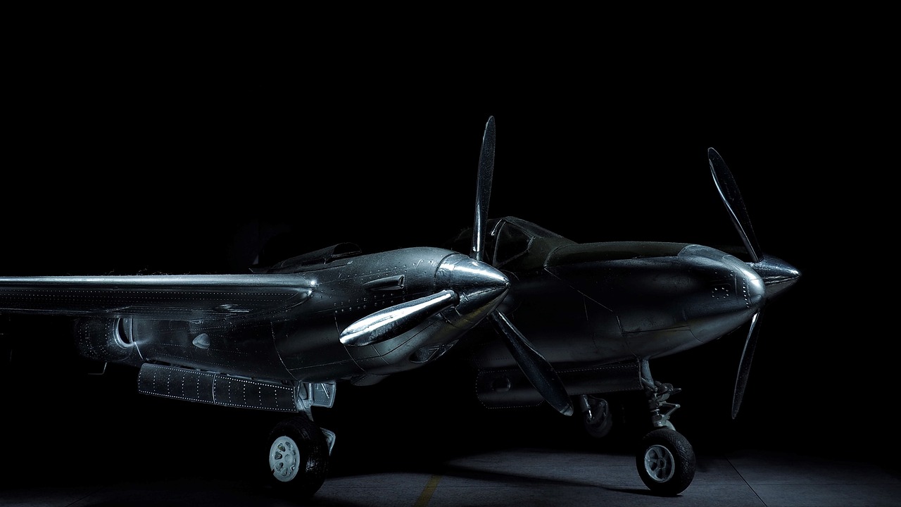 The Man Who Stole a Plane to Impress a Woman (image credits: pixabay)