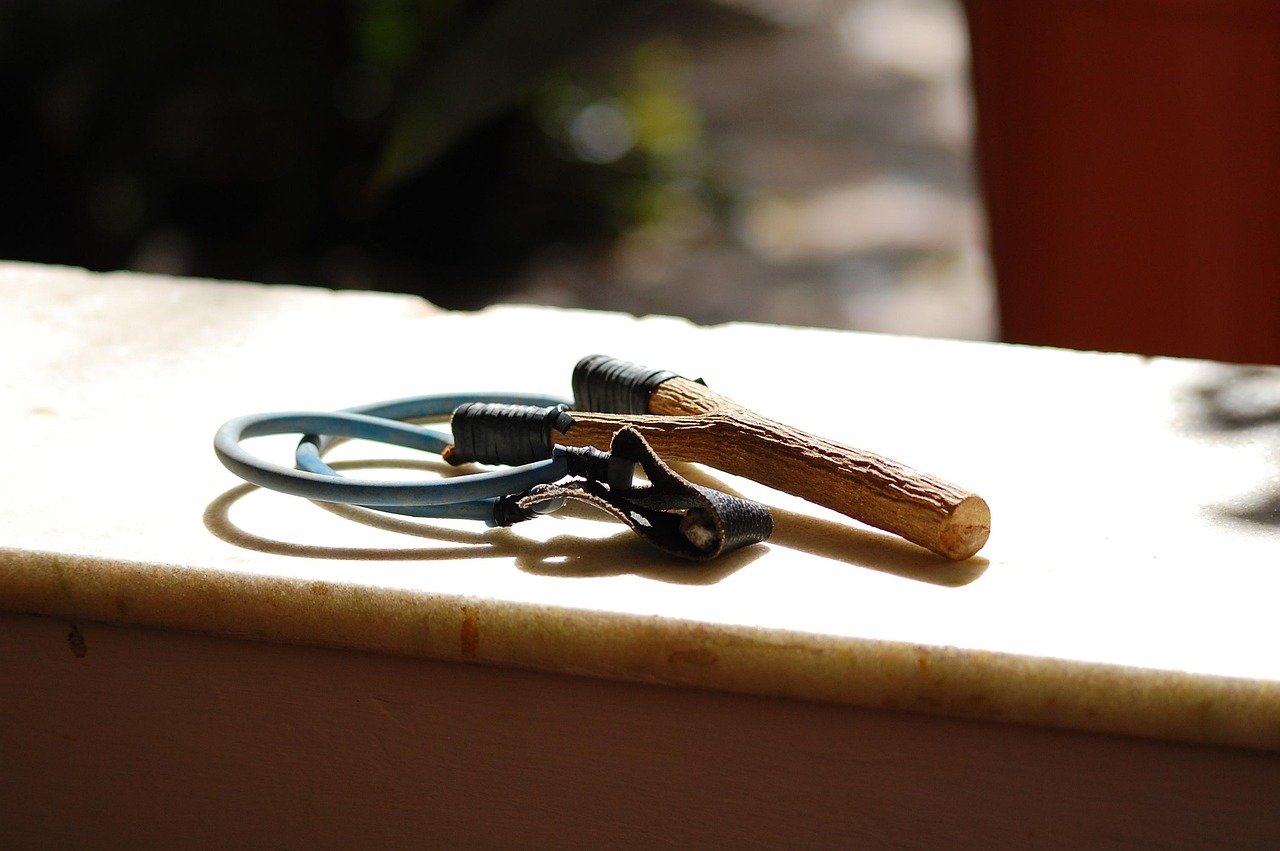 Improvised Projectiles: From Toys to Weapons (image credits: pixabay)